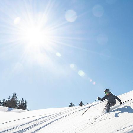 Wellness Pension Iveta Žacléř Bagian luar foto