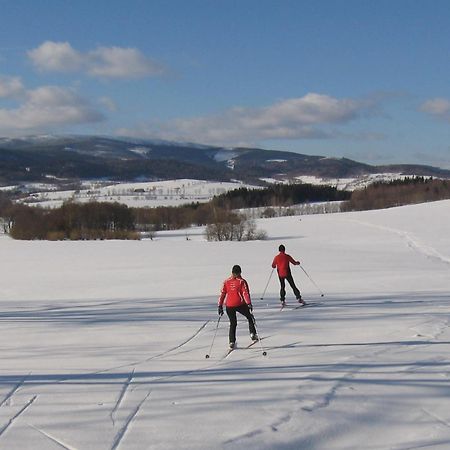 Wellness Pension Iveta Žacléř Bagian luar foto