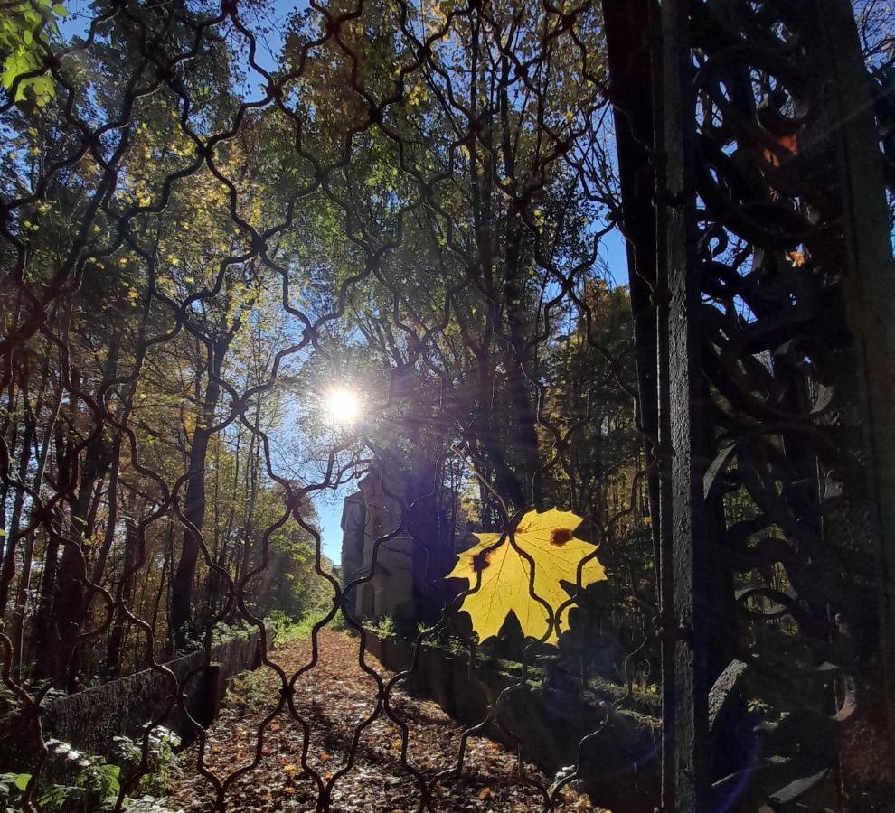 Wellness Pension Iveta Žacléř Bagian luar foto