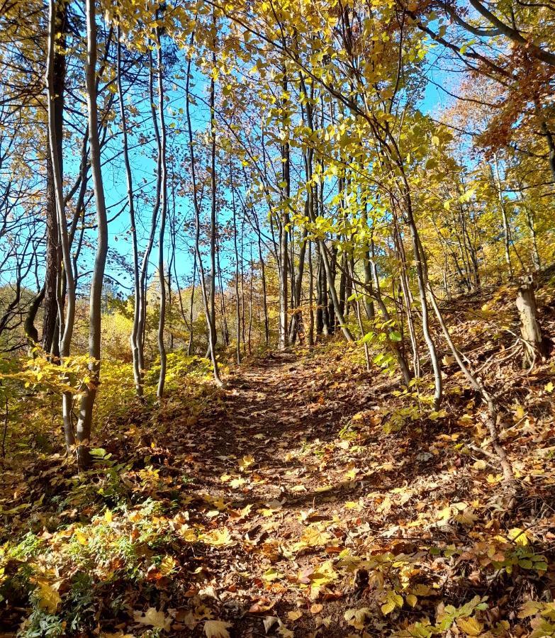 Wellness Pension Iveta Žacléř Bagian luar foto