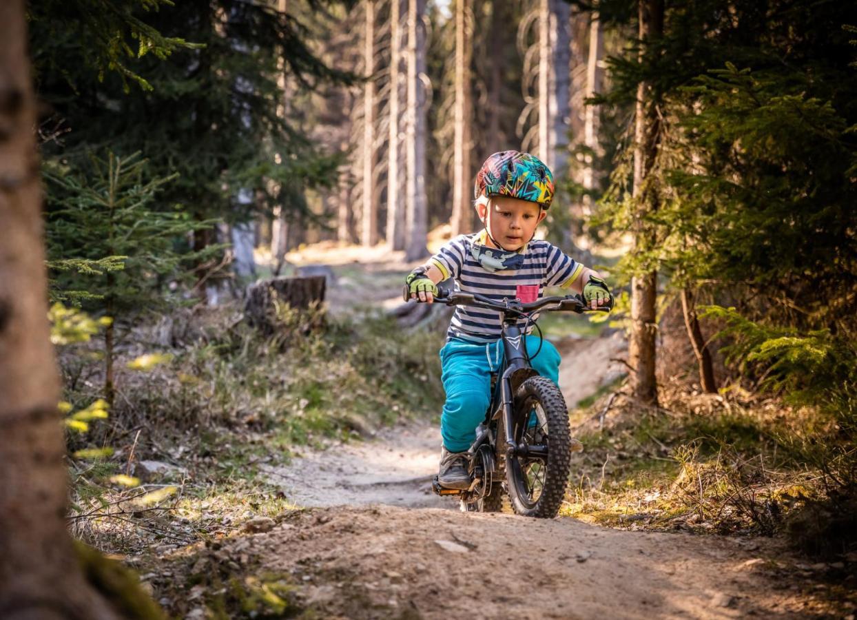 Wellness Pension Iveta Žacléř Bagian luar foto