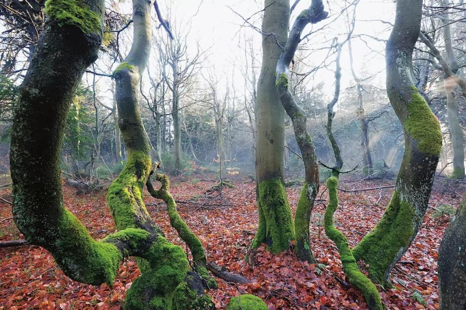 Wellness Pension Iveta Žacléř Bagian luar foto