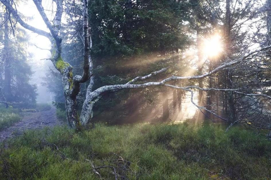 Wellness Pension Iveta Žacléř Bagian luar foto