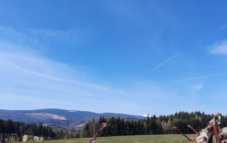 Wellness Pension Iveta Žacléř Bagian luar foto