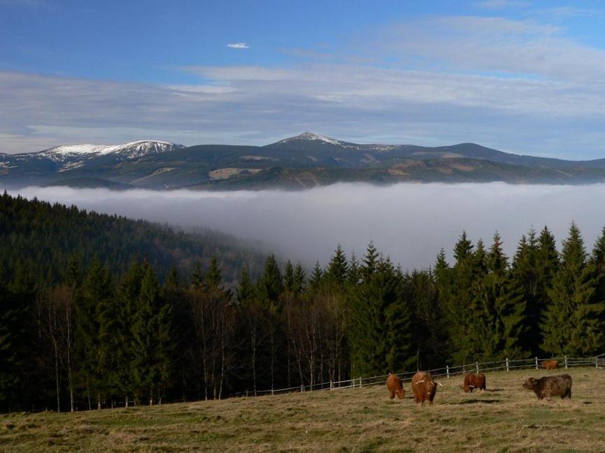 Wellness Pension Iveta Žacléř Bagian luar foto