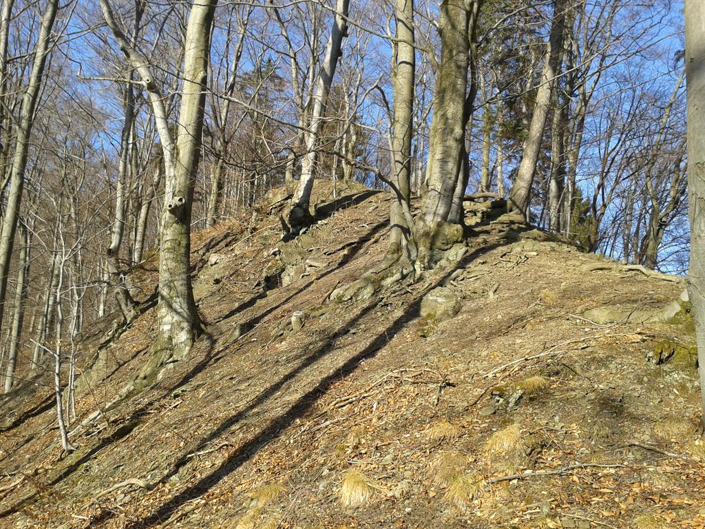 Wellness Pension Iveta Žacléř Bagian luar foto