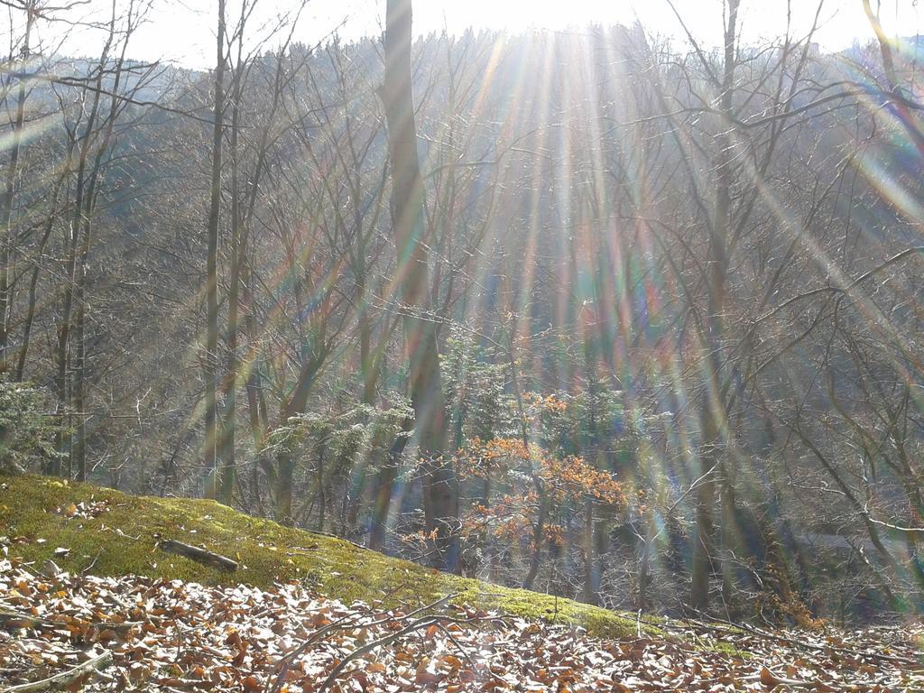 Wellness Pension Iveta Žacléř Bagian luar foto
