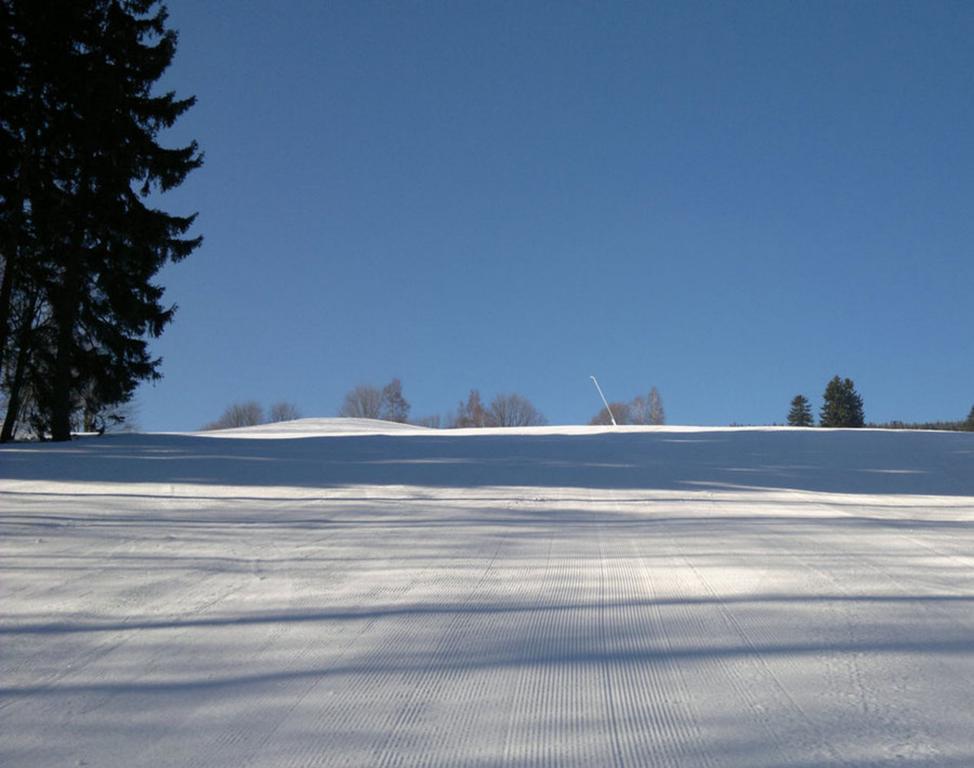Wellness Pension Iveta Žacléř Bagian luar foto