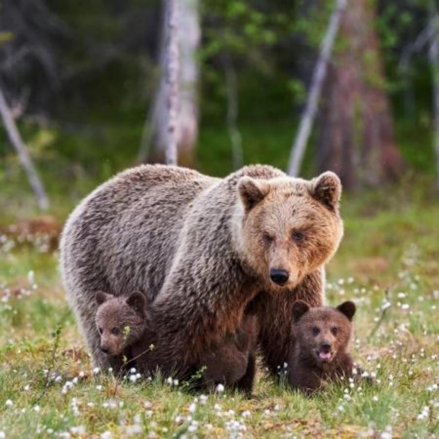 Wellness Pension Iveta Žacléř Bagian luar foto