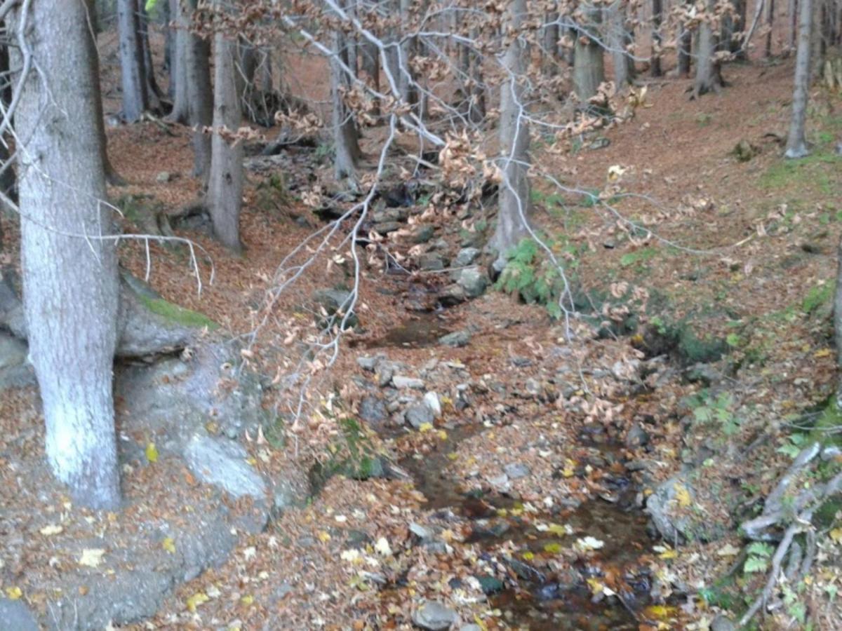 Wellness Pension Iveta Žacléř Bagian luar foto