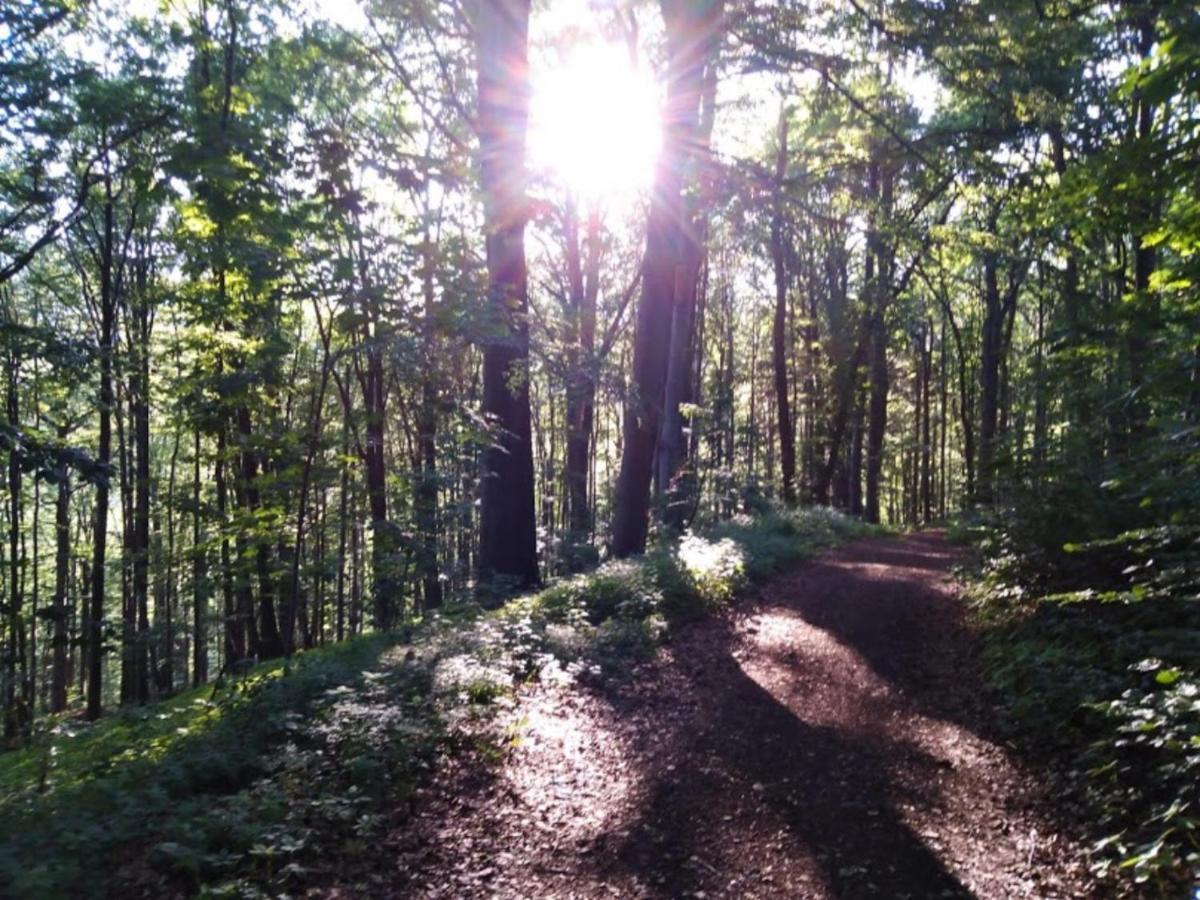 Wellness Pension Iveta Žacléř Bagian luar foto