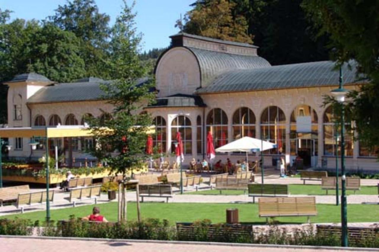 Wellness Pension Iveta Žacléř Bagian luar foto